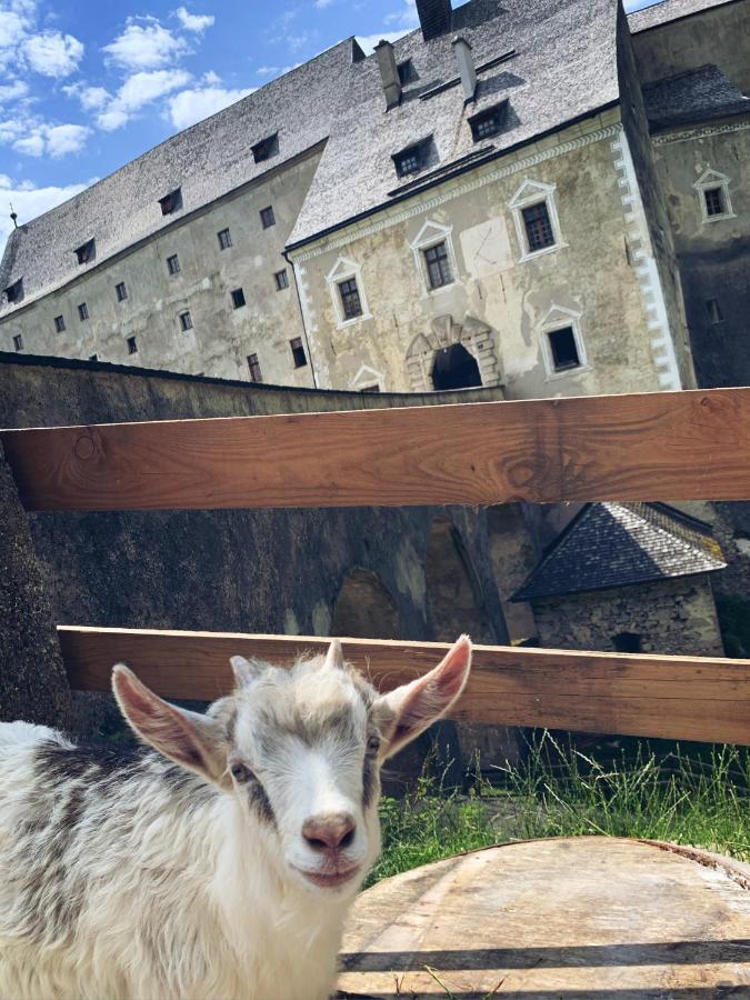 Hotel Burg Altpernstein Micheldorf in Oberösterreich Zewnętrze zdjęcie