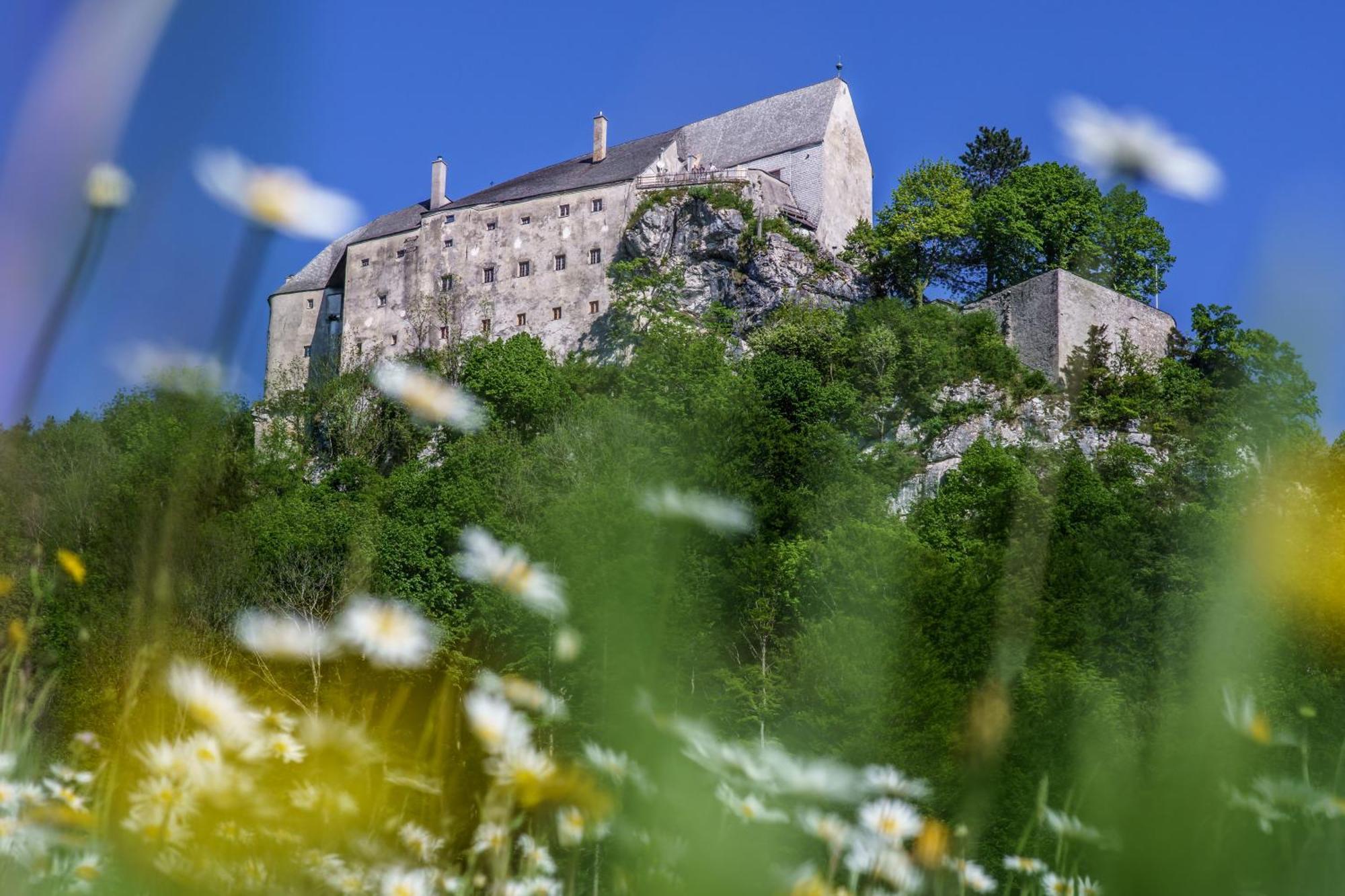 Hotel Burg Altpernstein Micheldorf in Oberösterreich Zewnętrze zdjęcie