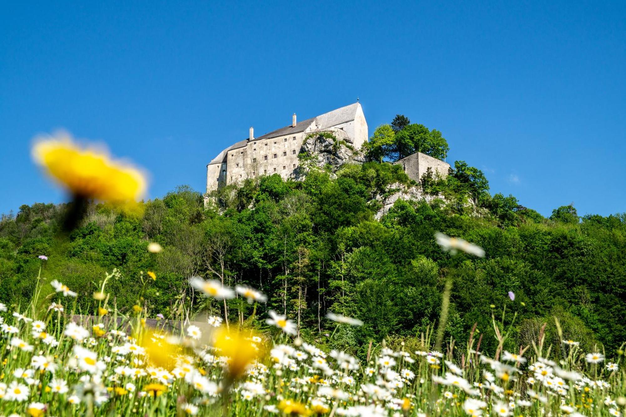 Hotel Burg Altpernstein Micheldorf in Oberösterreich Zewnętrze zdjęcie